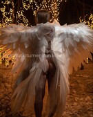 Анкета проститутки Арина - метро Беговой, возраст - 21