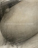 Анкета проститутки Милослава - метро Сокольники, возраст - 35